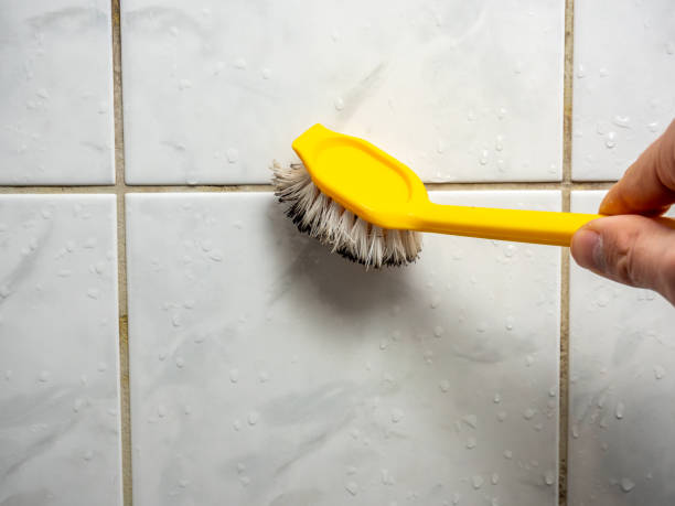 Best Black Mold Removal  in Farmington, IL