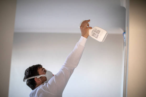 Best Mold Inspection  in Farmington, IL