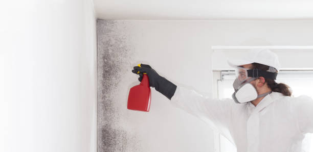 Best Emergency Mold Removal  in Farmington, IL